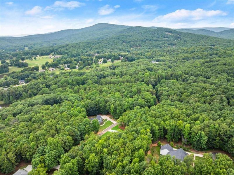 Natural landscape and outdoor views near  in Clarkesville (Image 44).