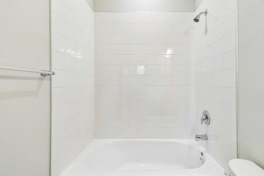 The Shelmer - Bath The Shelmer - Bath