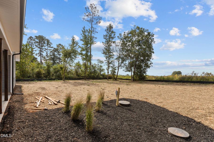 37-web-or-mls-2N6A7878 37-web-or-mls-2N6A7878