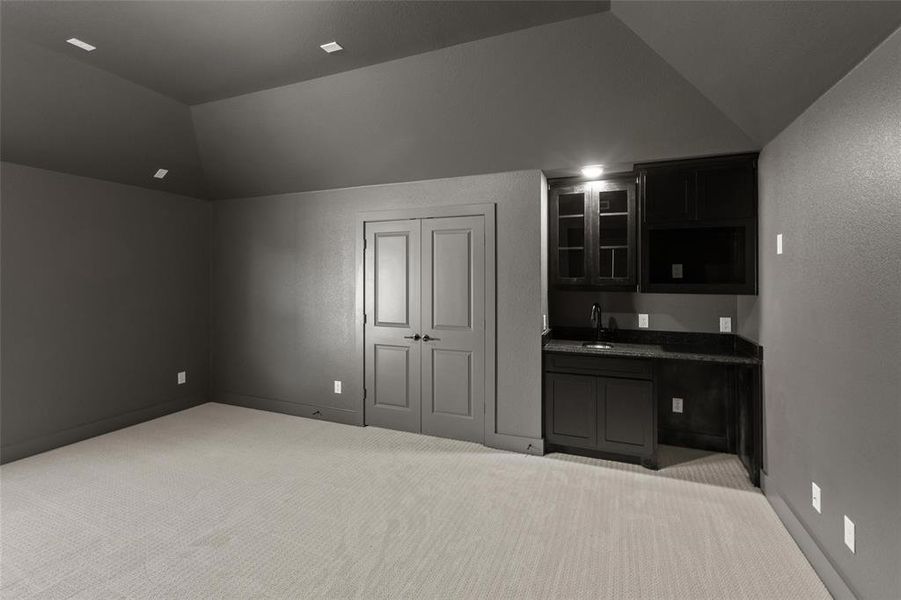 2013 Pelican DriveMedia Room1