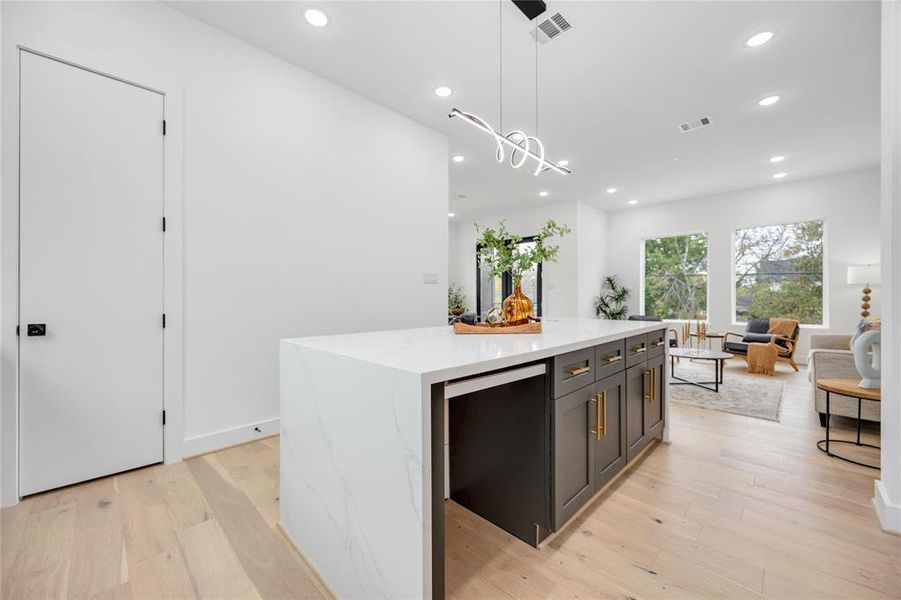 Contemporary, open concept kitchen with high-end finishes