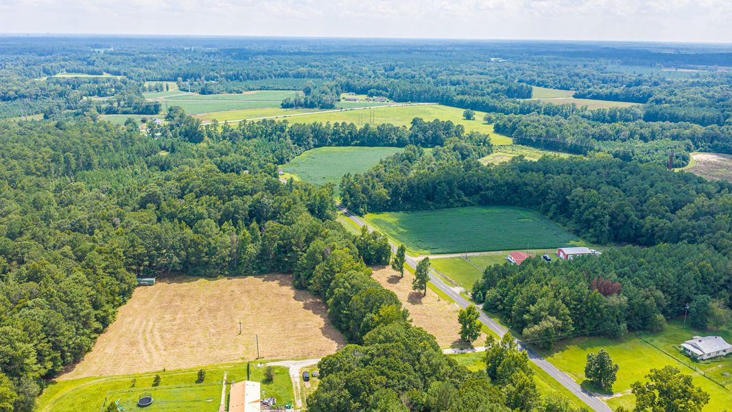 Natural landscape and outdoor views near  in Holly Hill (Image 60).
