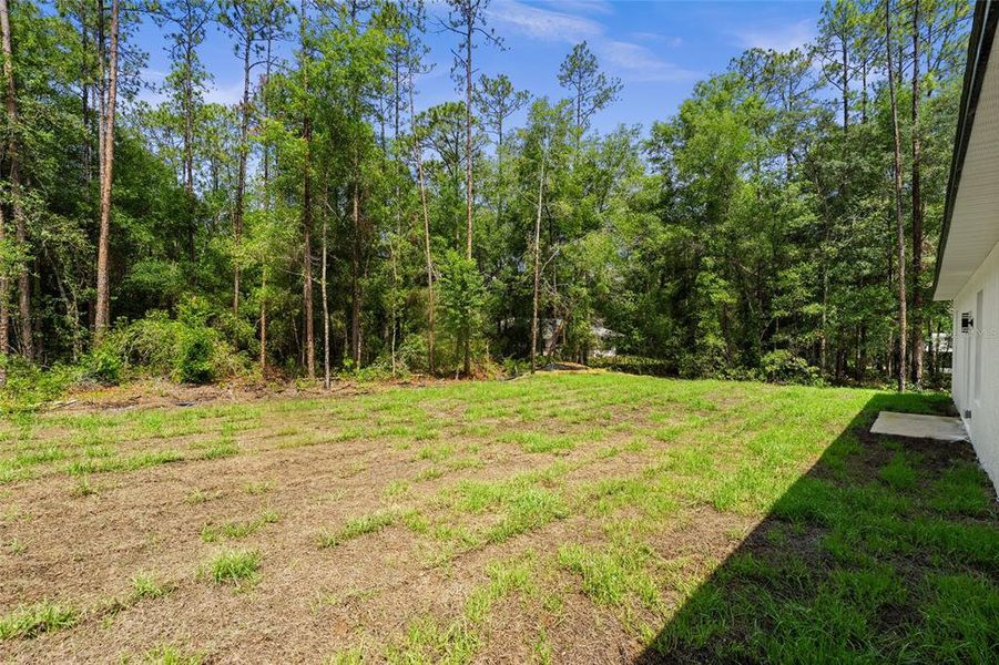 Exterior details and patio area of a home in , Citrus Springs (Image 3).