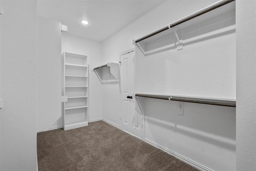 Spacious closet featuring carpet floors