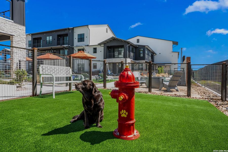 Community amenities in , New Braunfels (Image 22).