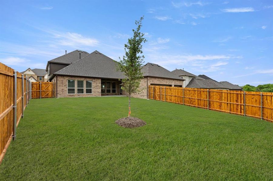 412 Newpark-Back-2
