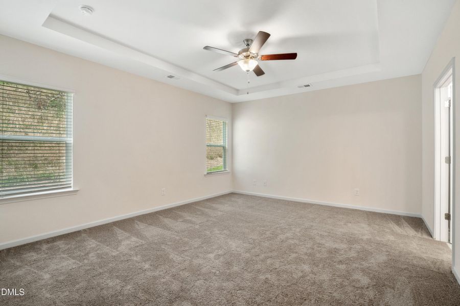 Representational Photo