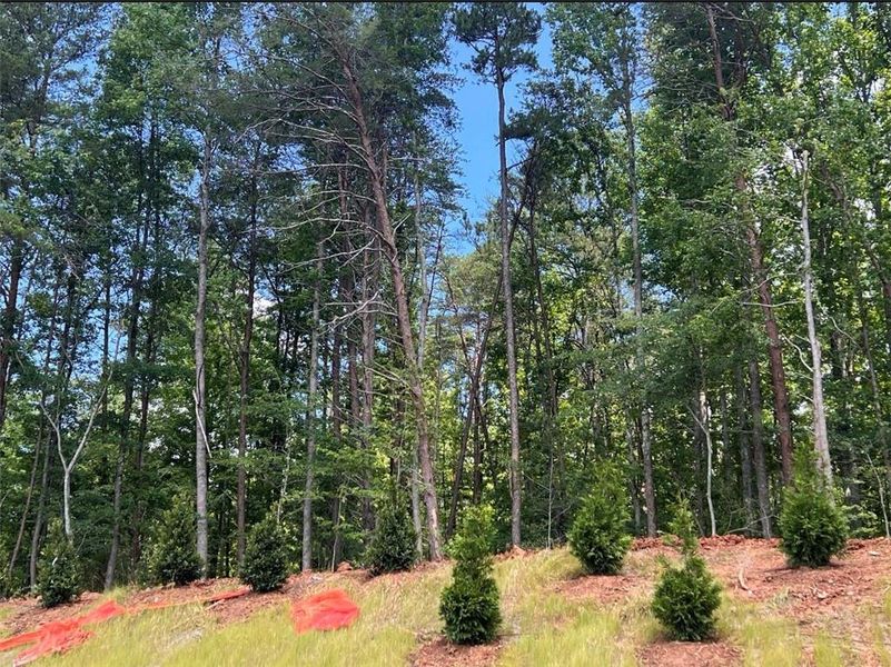 Natural landscape and outdoor views near in Cumming (Image 23). Natural landscape and outdoor views near in Cumming (Image 23).