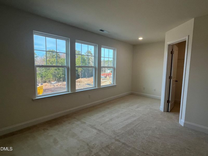 Primary suite with lots of windows