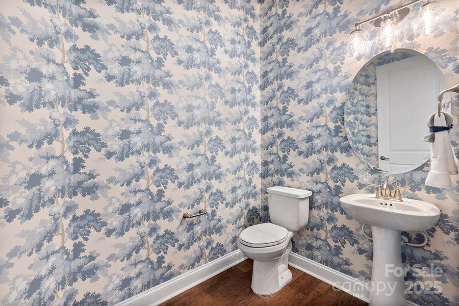 REPRESENTATIVE PHOTO