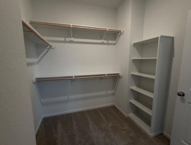 26810 Celestial Cypress Road ~ Under Construction 26810 Celestial Cypress Road ~ Under Construction