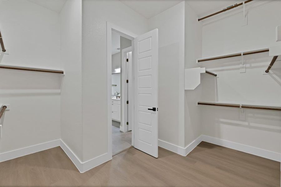 Walk in closet featuring wood finished floors and a sink