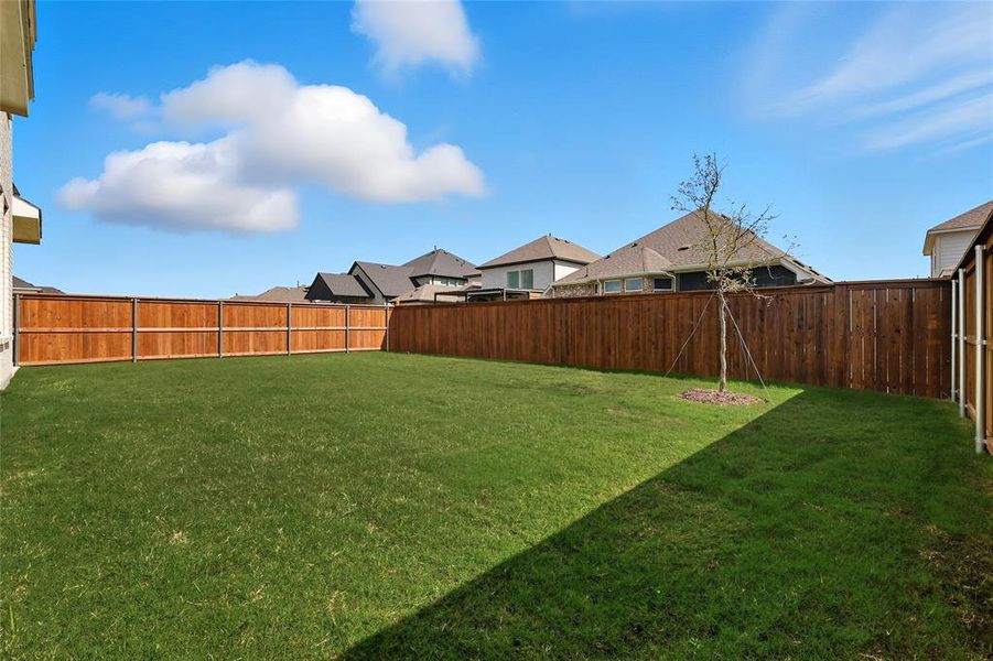 Fenced backyard with a residential view Fenced backyard with a residential view