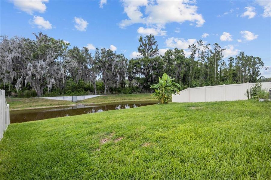 Natural landscape and outdoor views near in Lakeland (Image 34). Natural landscape and outdoor views near in Lakeland (Image 34).