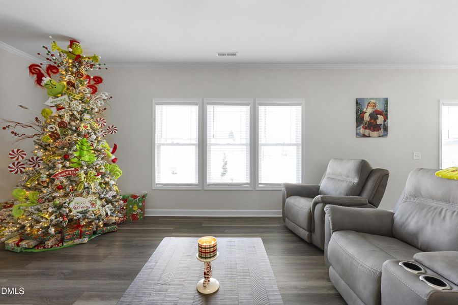 191_hazelwood_road_living_6 191_hazelwood_road_living_6