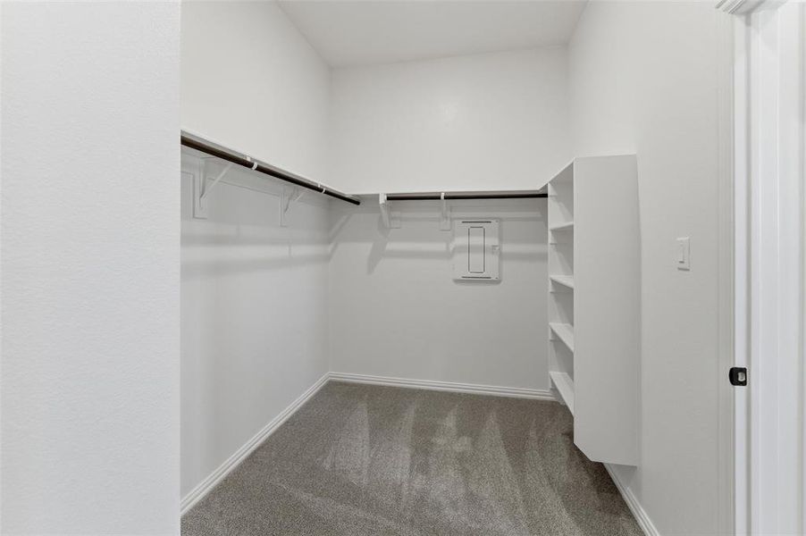 Walk in closet with dark carpet Walk in closet with dark carpet