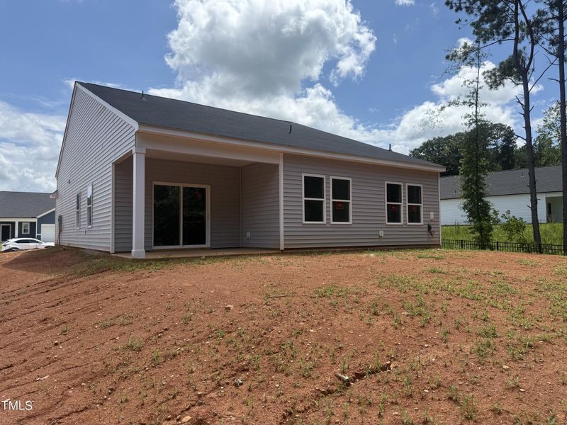 IMG_5869 - Copy IMG_5869 - Copy