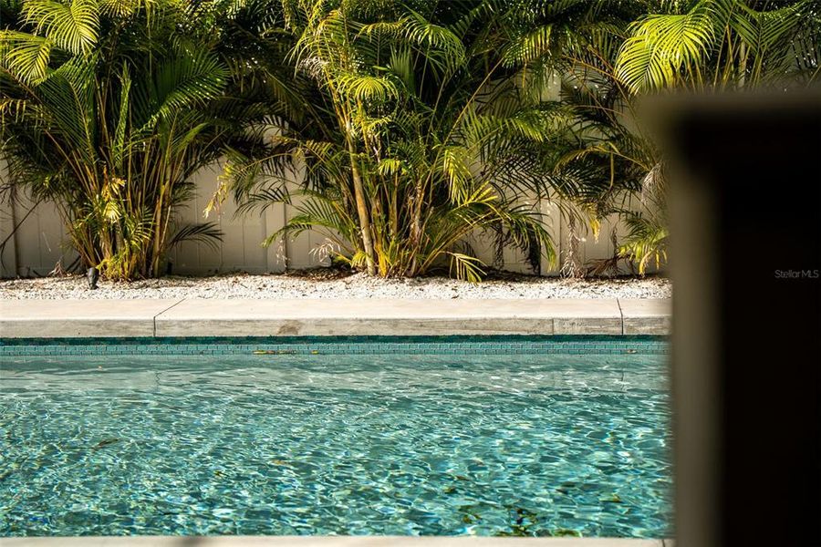 Natural landscape and outdoor views near  in Sarasota (Image 42).