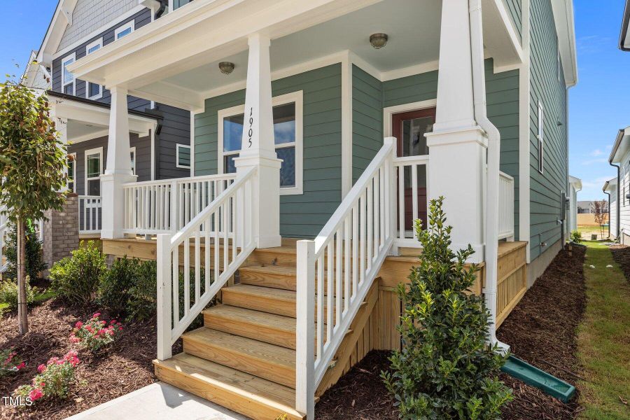 Model Representation Model Representation