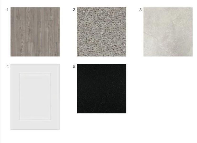 251 Rustic Alder Drive design selections! This home is currently under construction and selections are subject to change.