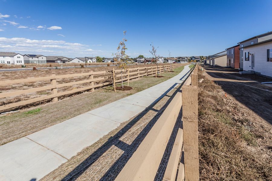 Site preparation for new homesites in Bloom, Fort Collins (Image 87).