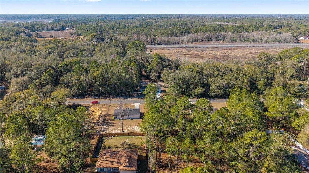 Natural landscape and outdoor views near  in Ocala (Image 41).