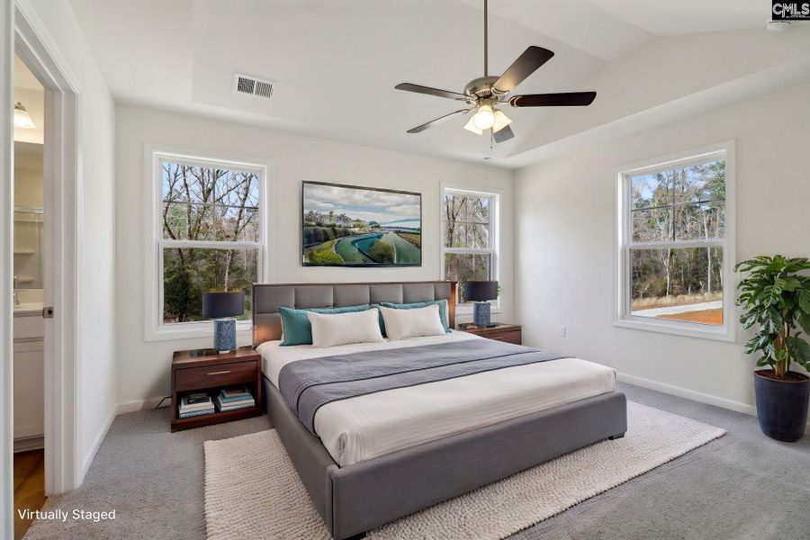 Furnished interior view inside a new home in Boykin Hills, Chapin (Image 13).