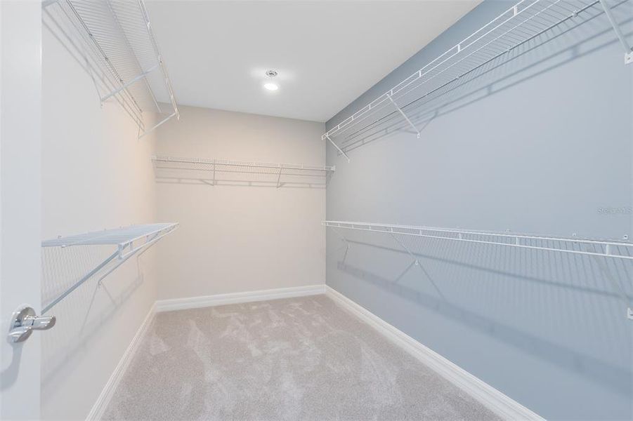 Spacious, unfurnished interior of a new home in Hartford Terrace, Davenport (Image 19).