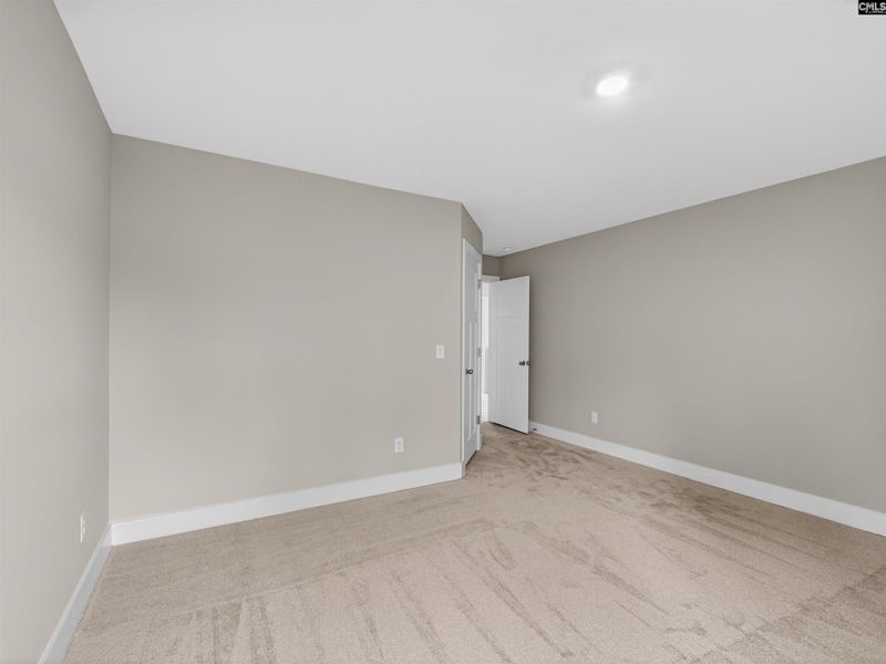 Spacious, unfurnished interior of a new home in Collins Cove, Chapin (Image 39).