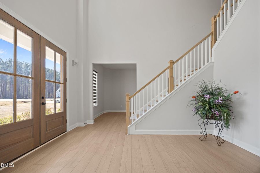 20-web-or-mls-IMG_1951 20-web-or-mls-IMG_1951