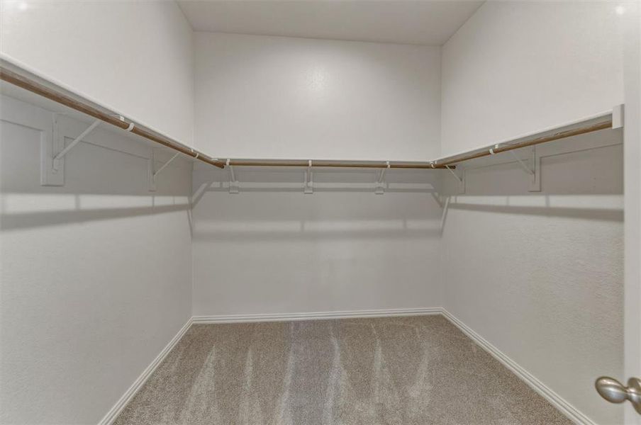 Walk-in closet featuring light gray carpeting, white walls, and built-in shelving with hanging rods Walk-in closet featuring light gray carpeting, white walls, and built-in shelving with hanging rods