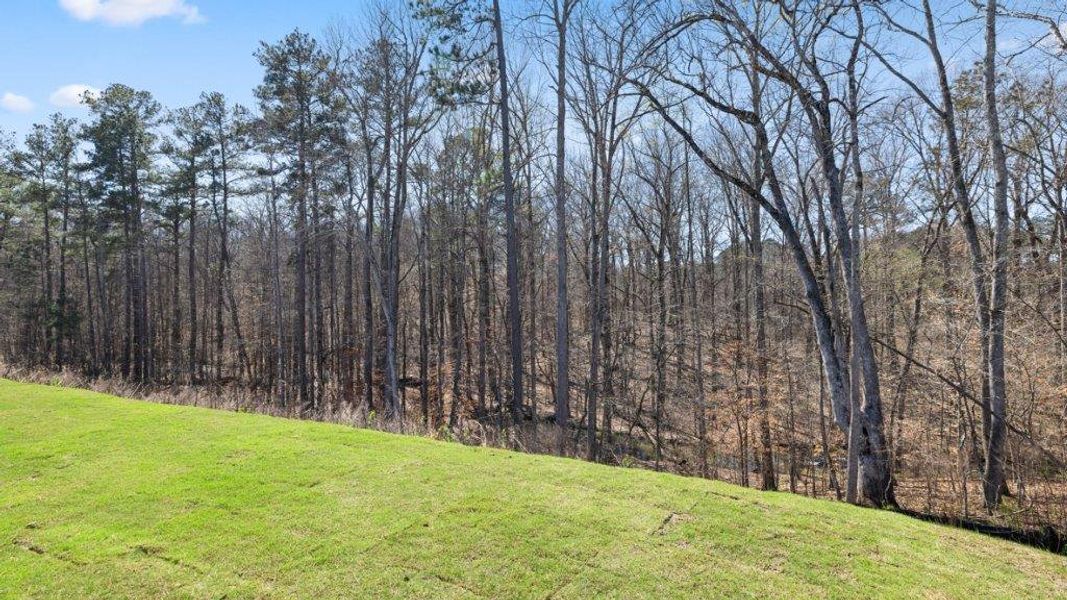 Natural landscape and outdoor views near South Wind in Union City (Image 29).