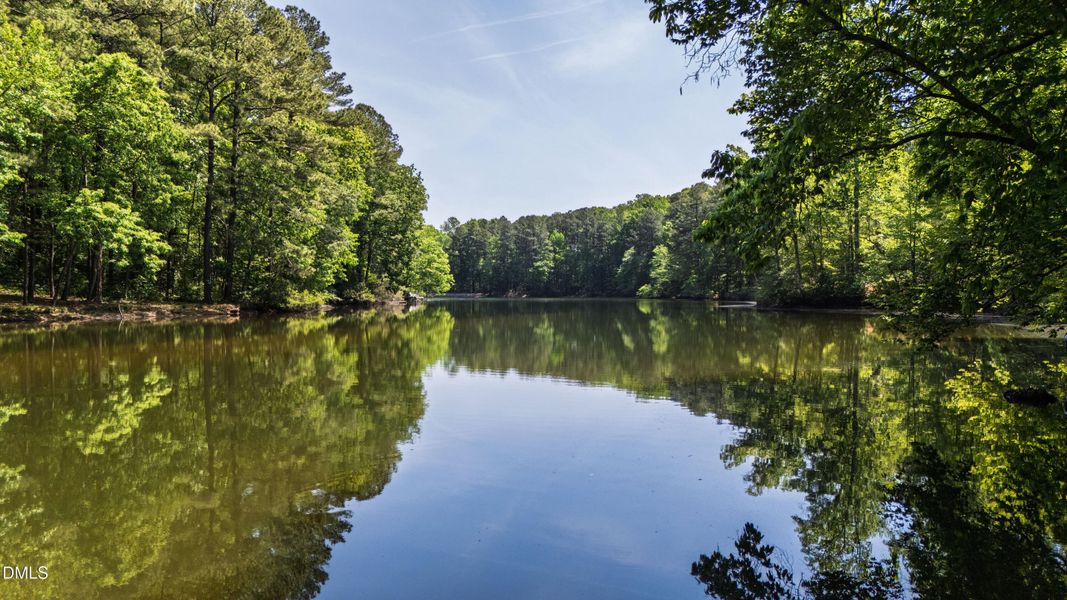 Lake (3)