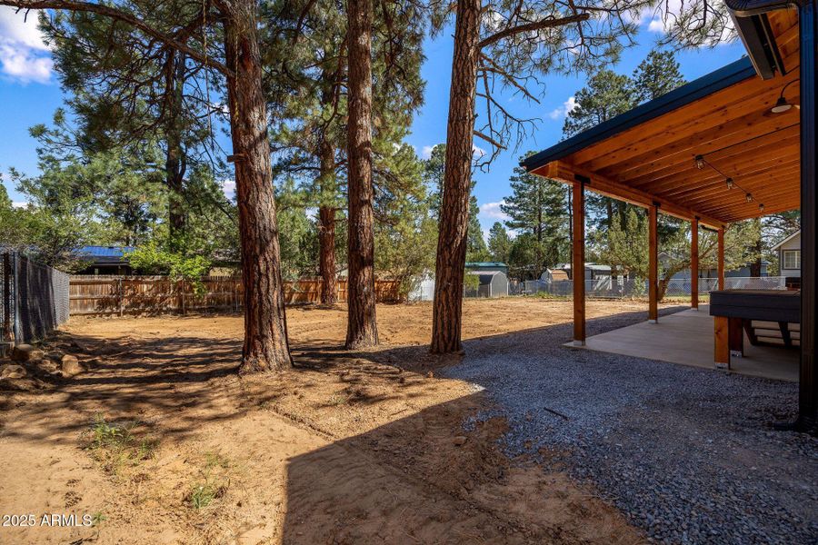 1982ChristmasPineRd-HeberOvergaard-AZ-25 1982ChristmasPineRd-HeberOvergaard-AZ-25