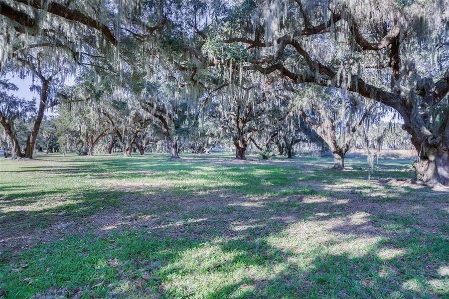 Natural landscape and outdoor views near The Townhomes at Bellalago in Kissimmee (Image 29). Natural landscape and outdoor views near The Townhomes at Bellalago in Kissimmee (Image 29).