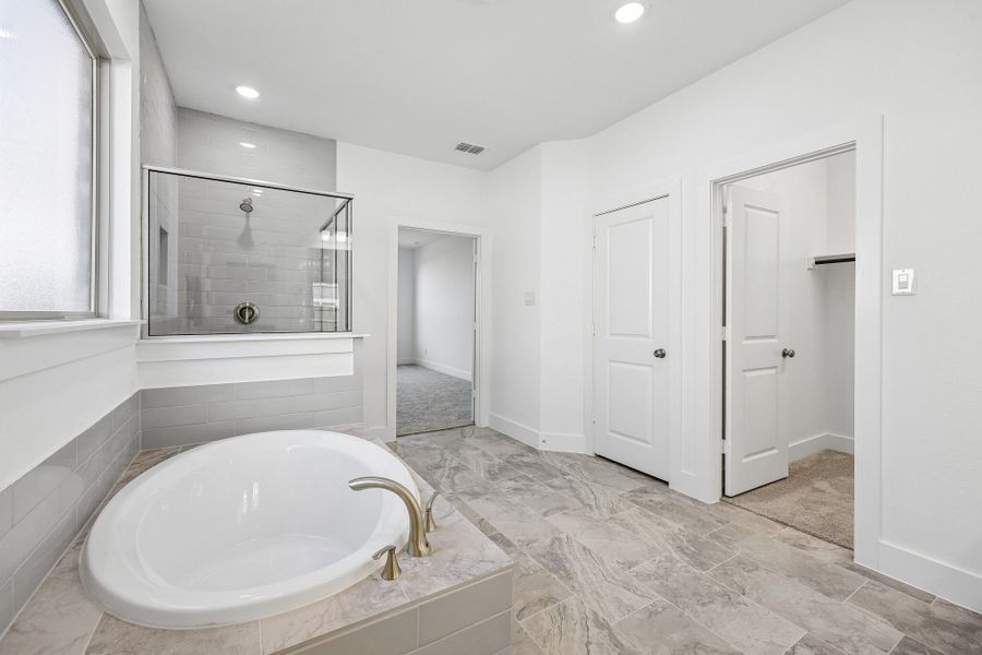 Owner's Bathroom