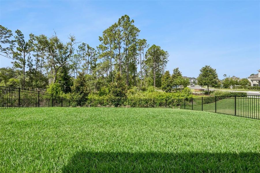 Natural landscape and outdoor views near  in Winter Garden (Image 57).