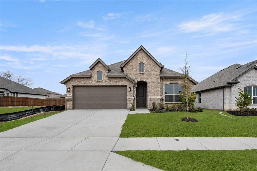 4540 Lyre Leaf- Front