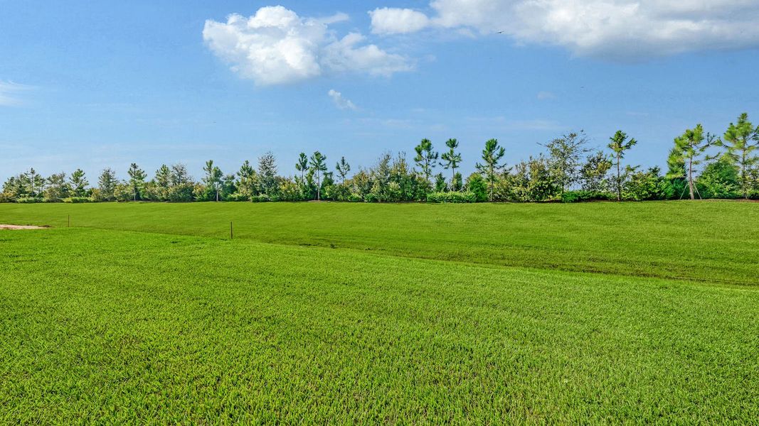 Natural landscape and outdoor views near Palm Grove Real Estate and Homes for Sale in Lakewood Ranch, FL - Neal Communities in Lakewood Ranch (Image 48). Natural landscape and outdoor views near Palm Grove Real Estate and Homes for Sale in Lakewood Ranch, FL - Neal Communities in Lakewood Ranch (Image 48).