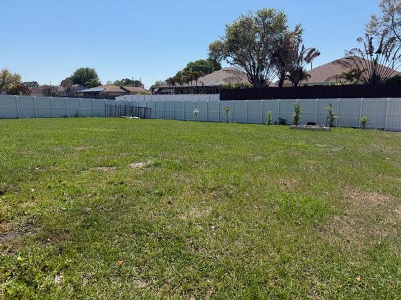 Large backyard Large backyard