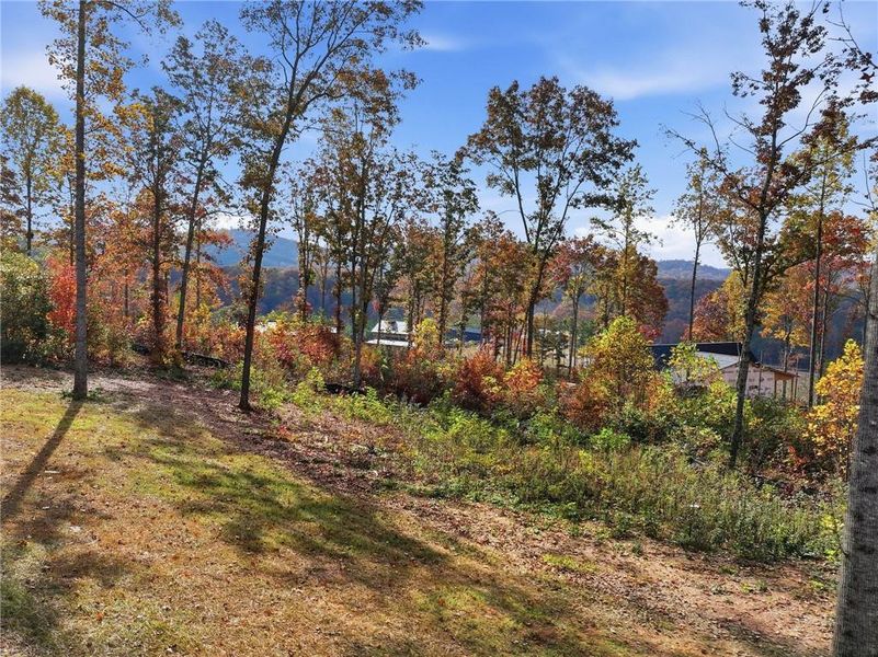 Natural landscape and outdoor views near  in Jasper (Image 32).