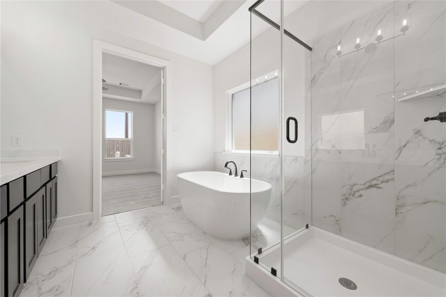 Representative image. Features, selections and colors may vary.