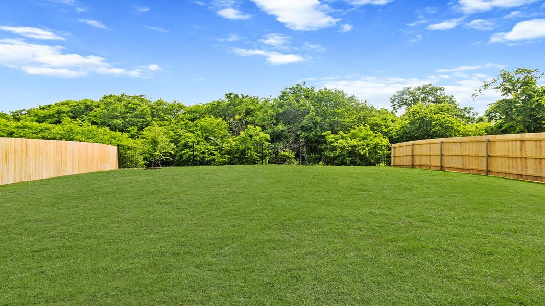 Backyard Backyard