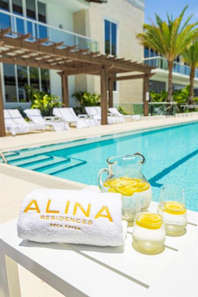Alina 220 Pool Detail Alina 220 Pool Detail