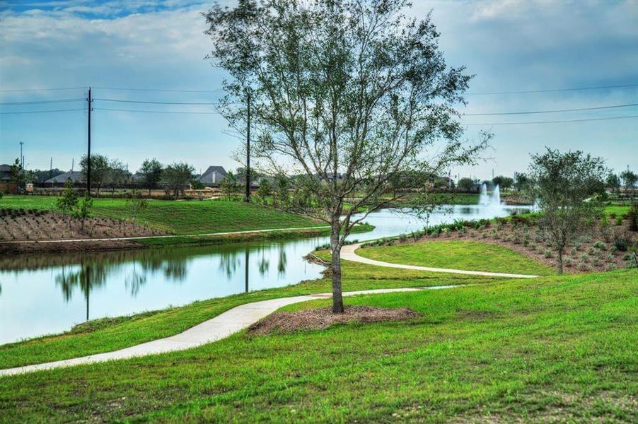 Beautiful Walking Trail by the water