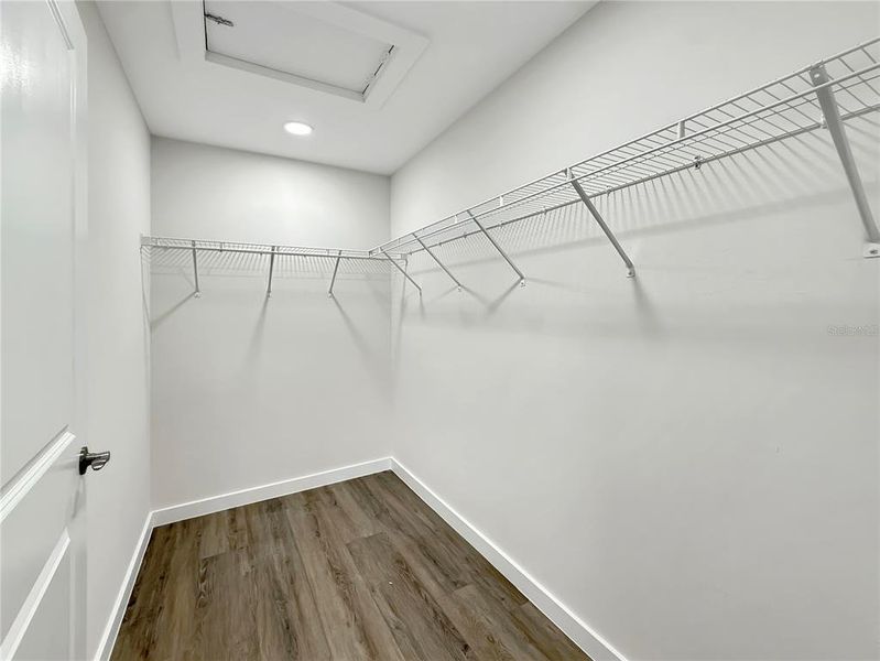 Primary Bedroom Walk-In Closet