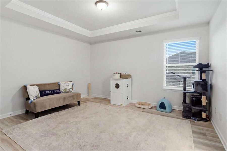 Furnished interior view inside a new home in Trinity Park, McDonough (Image 14).