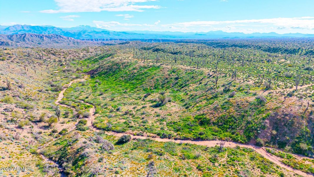 view from Future home site