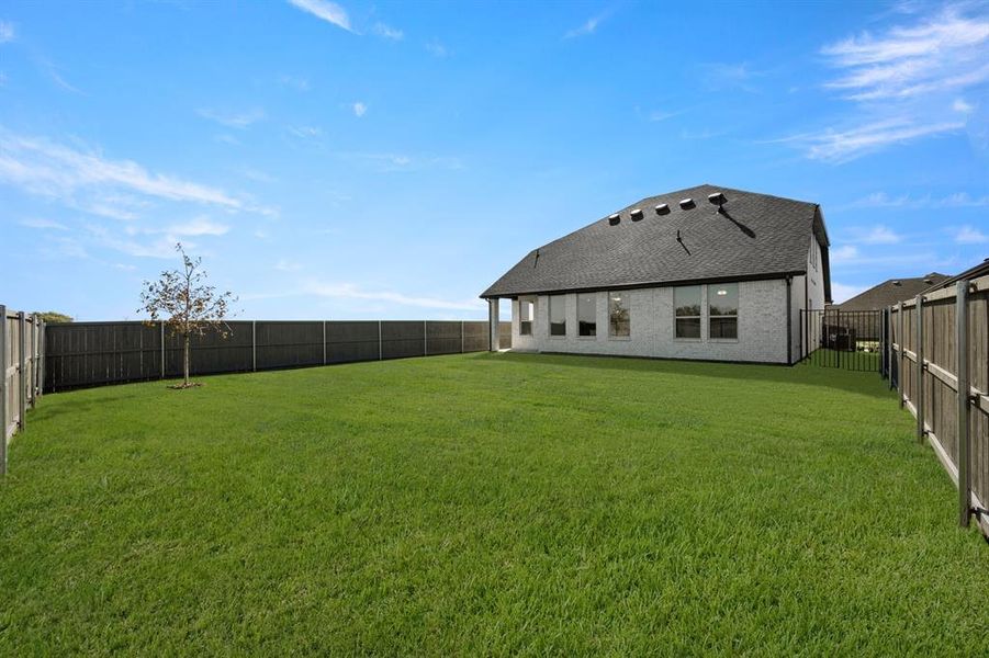 3122 Teasel- Back-1 3122 Teasel- Back-1