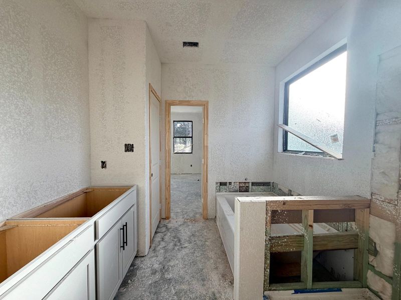 Construction Progress - Primary Bath Construction Progress - Primary Bath